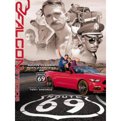 PORNSTARS PORNSTARS N°17 + DVD